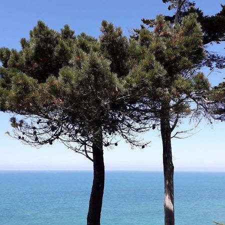 Granville Plage Plat Gousset Buitenkant foto